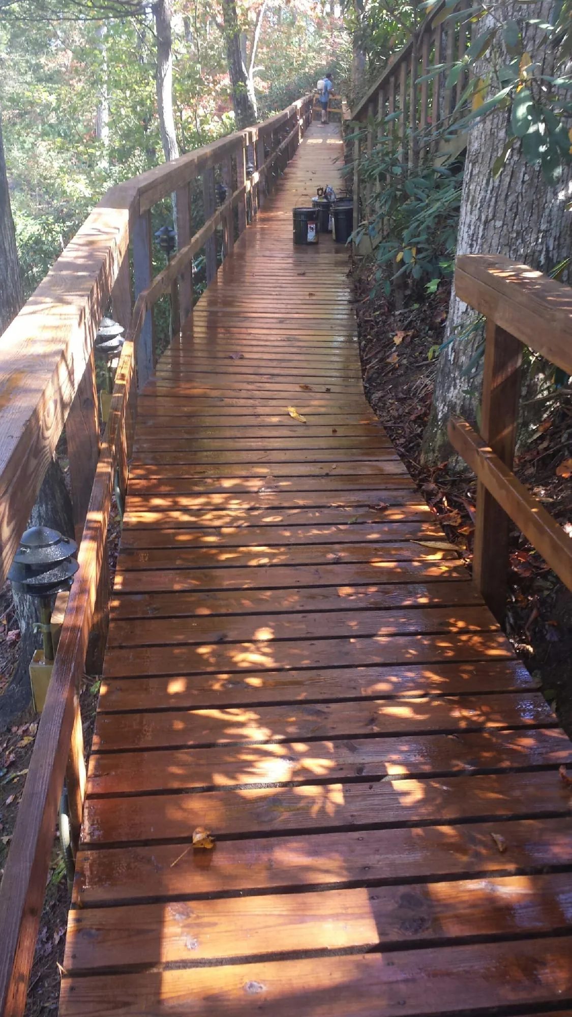 Freshly stained wood walkway winding through the woods in Kimberly
